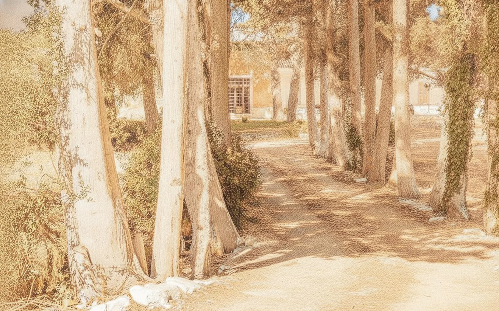 Masseria Cecora, 